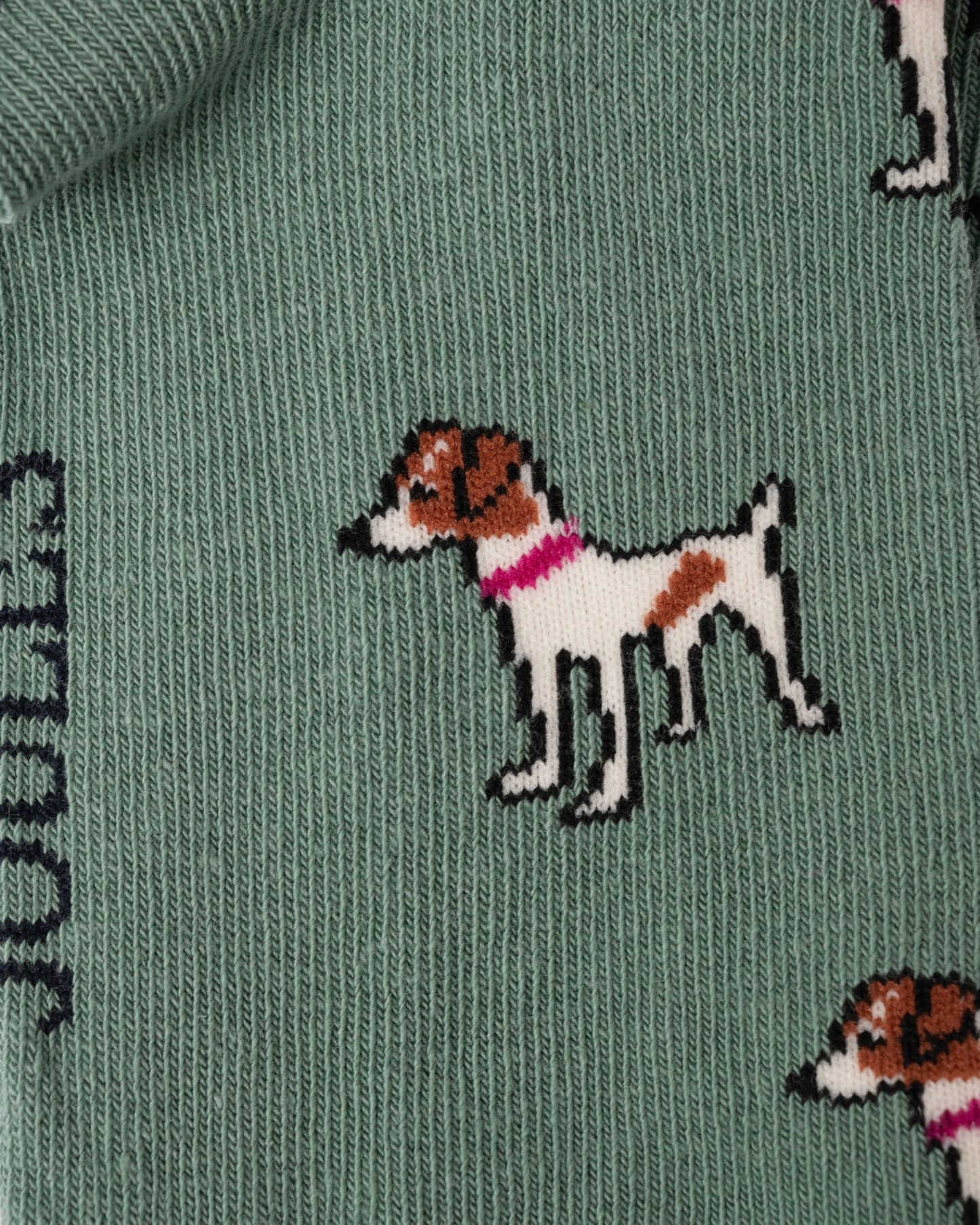 Joules Everyday 2 Pack Womens Socks - Green/Blue