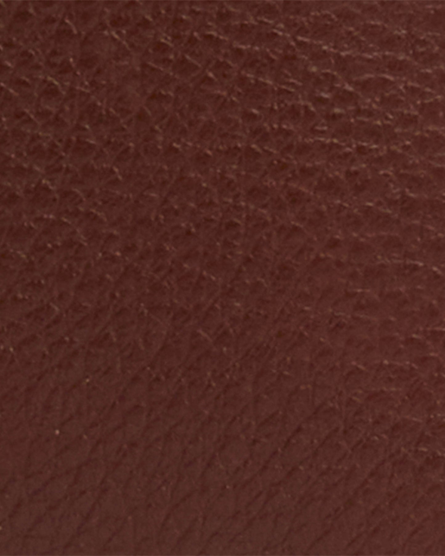 Barbour Alder Womens Leather Card Holder - Brown/Classic