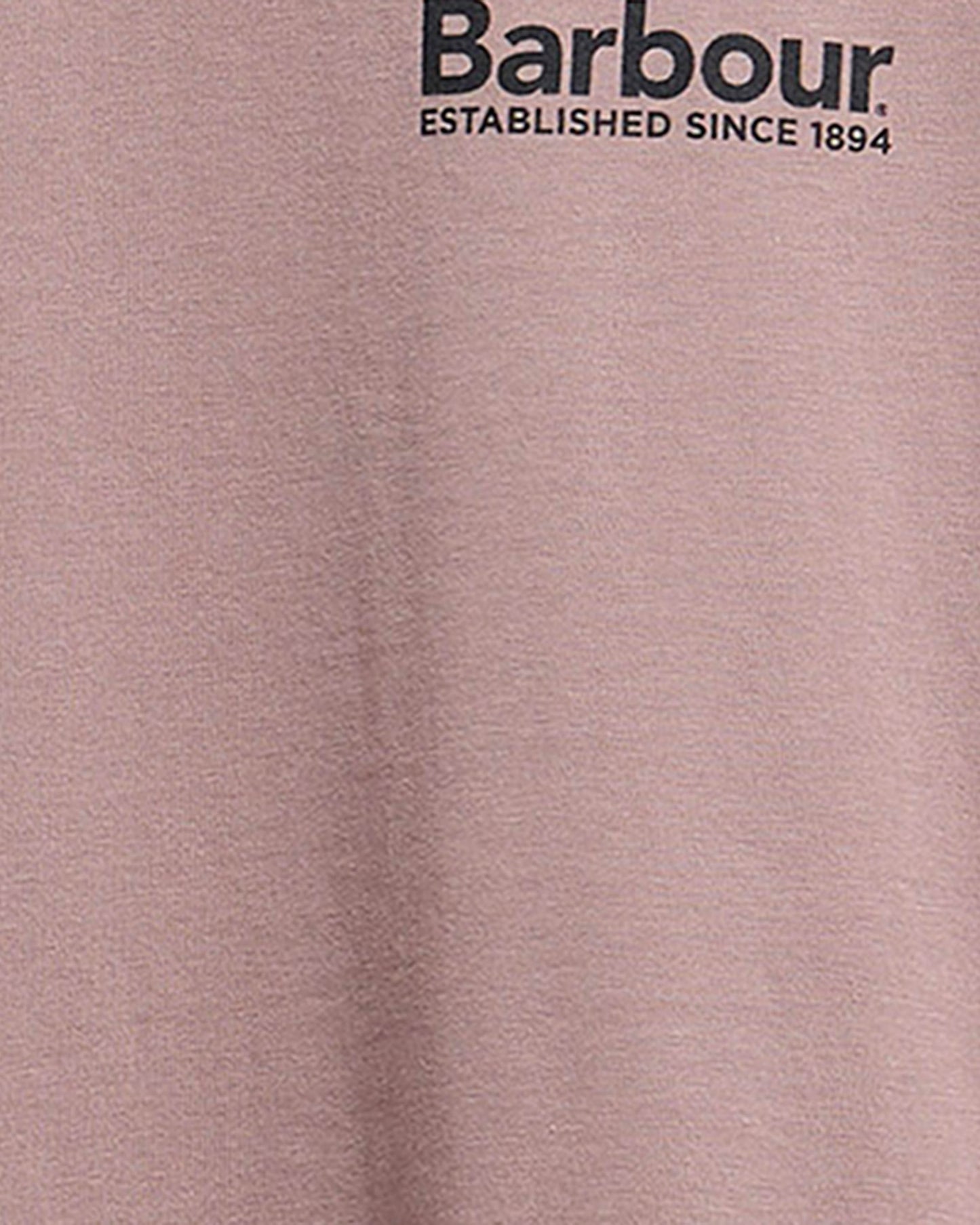 Barbour Moonwell Mens Relaxed Graphic T-Shirt - Ironstone