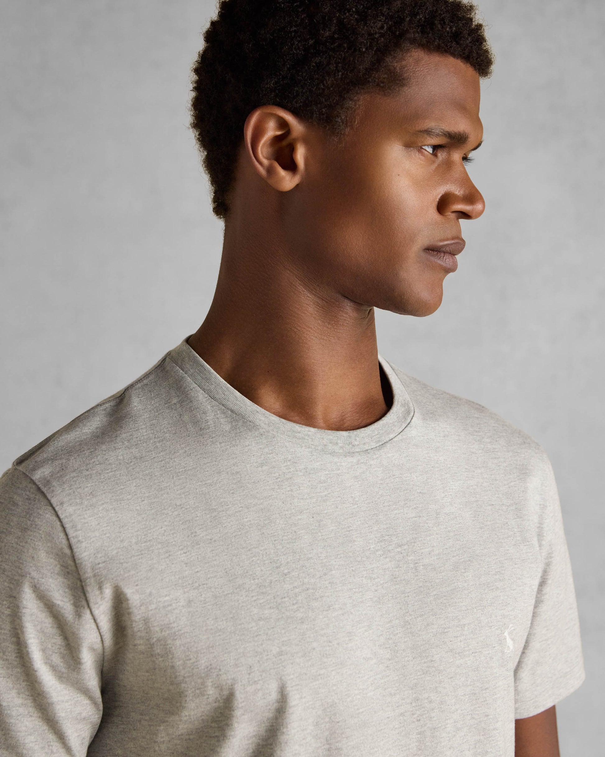 Joules Mens Everyday T-Shirt - Grey - CHO - Designer 