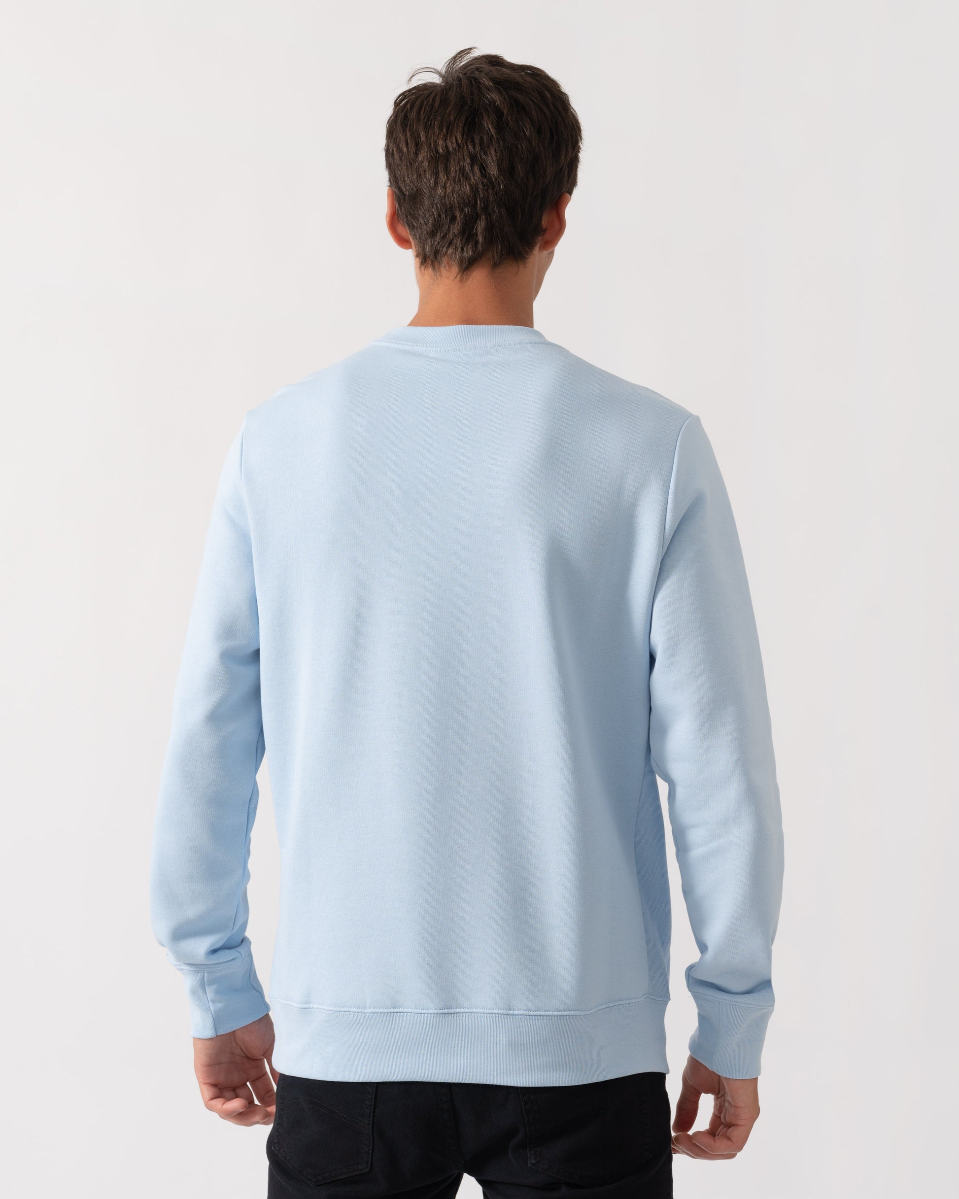 Back of PS Paul Smith Mens Regular Fit Zebra Logo Sweatshirt - 41E Light Blue