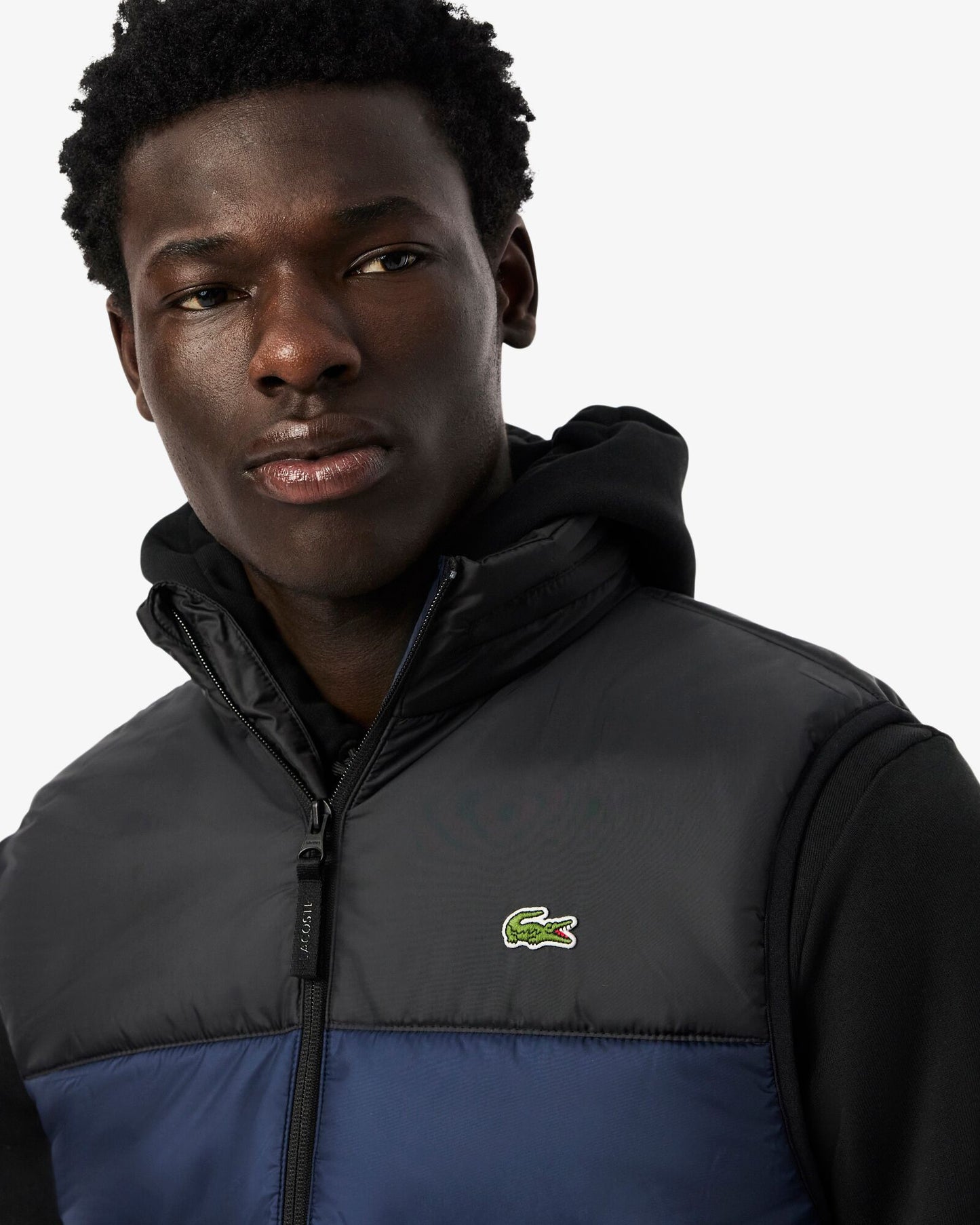 Lacoste Mens Hooded Gilet - Navy Blue/Black JB1