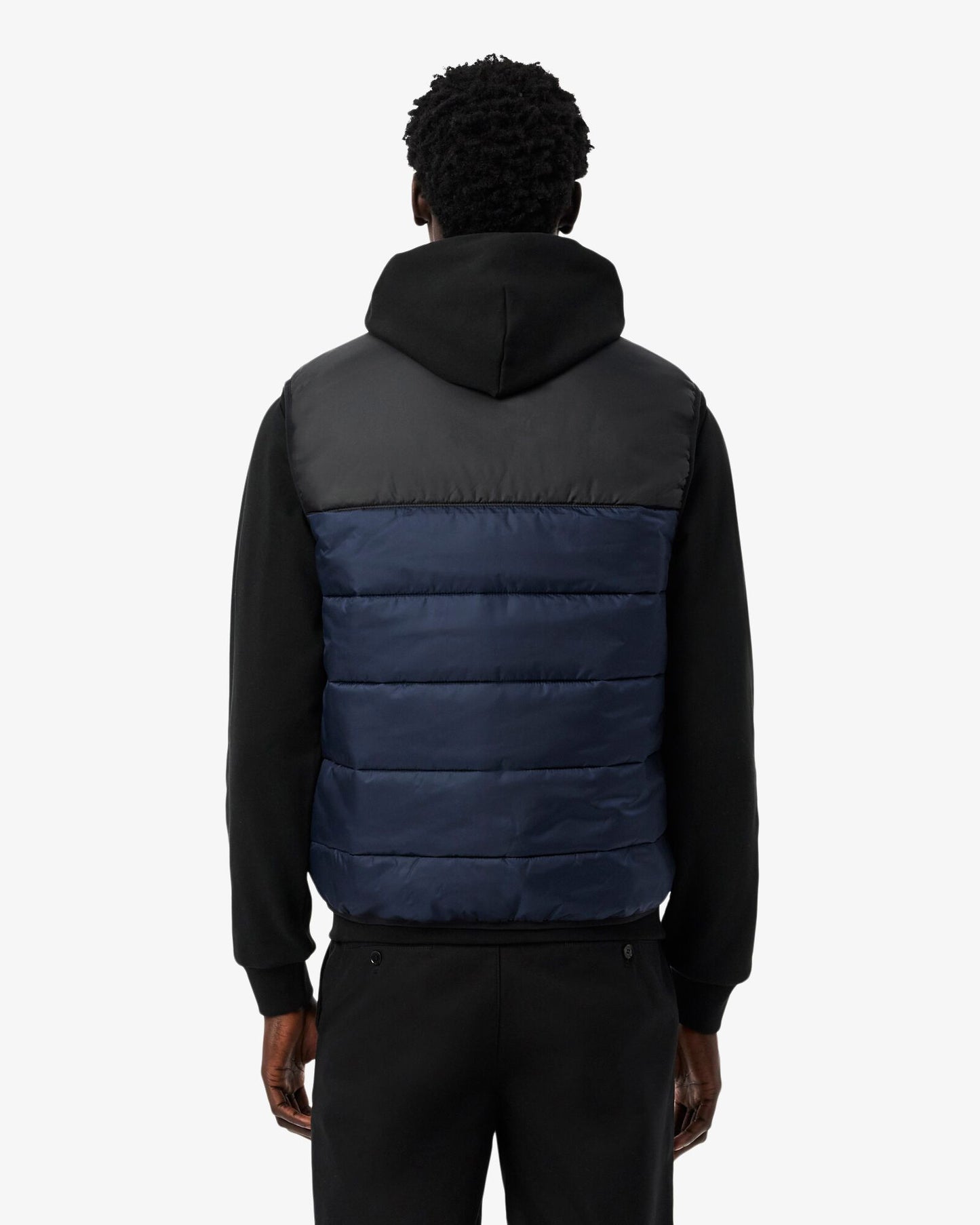 Lacoste Mens Hooded Gilet - Navy Blue/Black JB1