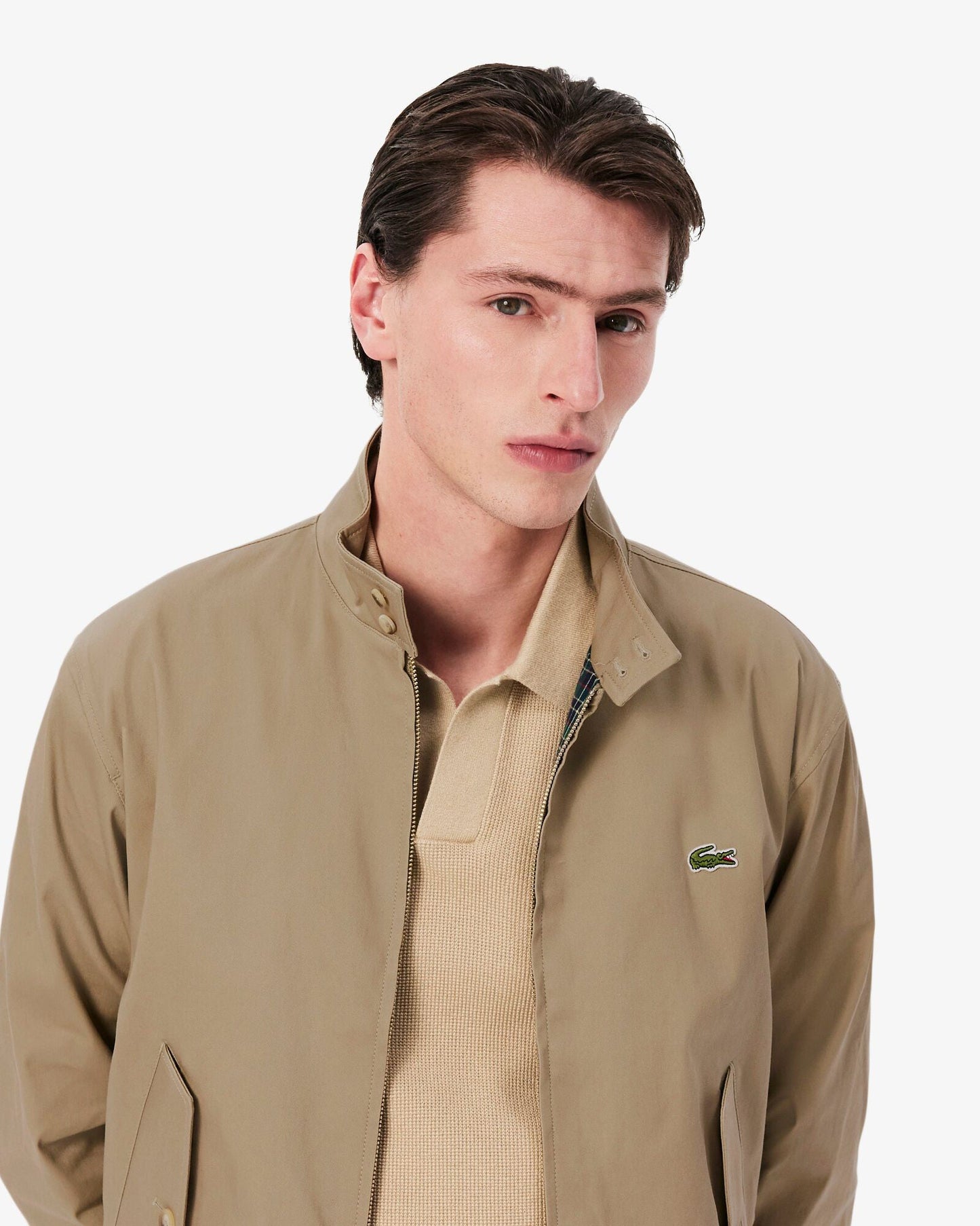 Lacoste Mens Showerproof Cotton Twill Harrington Jacket - Lion CB8