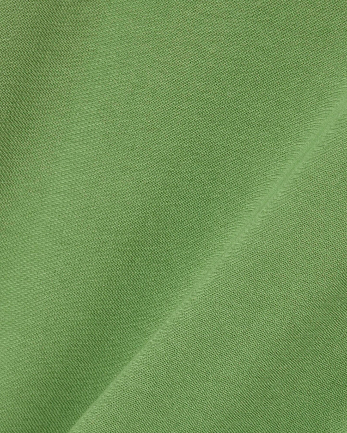Lacoste Mens Crew Neck Pima Cotton Jersey T-Shirt - Lamb's Lettuce 02M | CHO | Designer Mens Short Sleeve T-Shirts & Tops