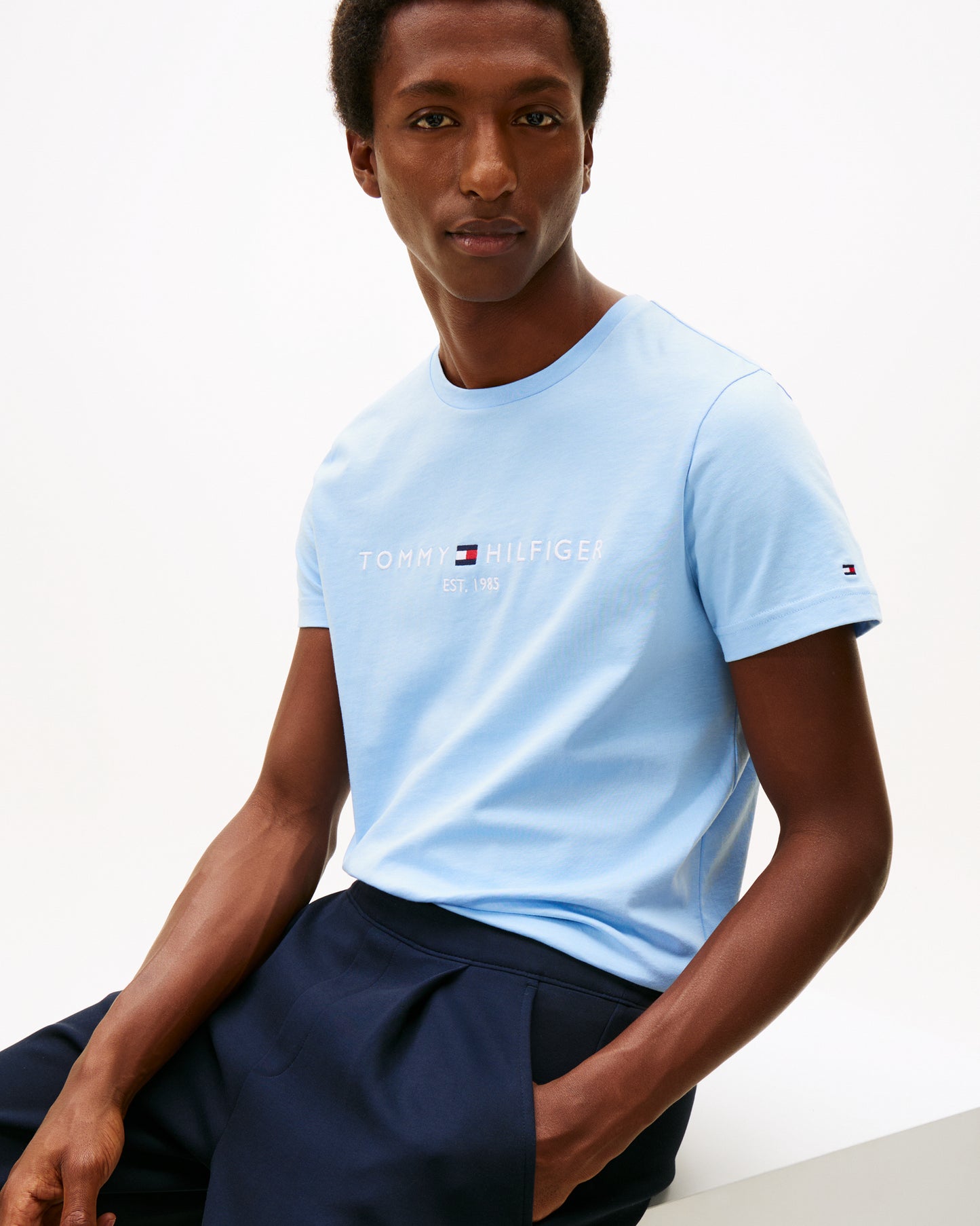 Tommy Hilfiger Tommy Logo Basic Mens T-Shirt - Well Water