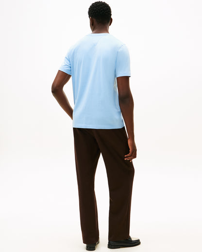 Tommy Hilfiger Essential Seasonal Regular Fit Solid Mens T-Shirt - Well Water