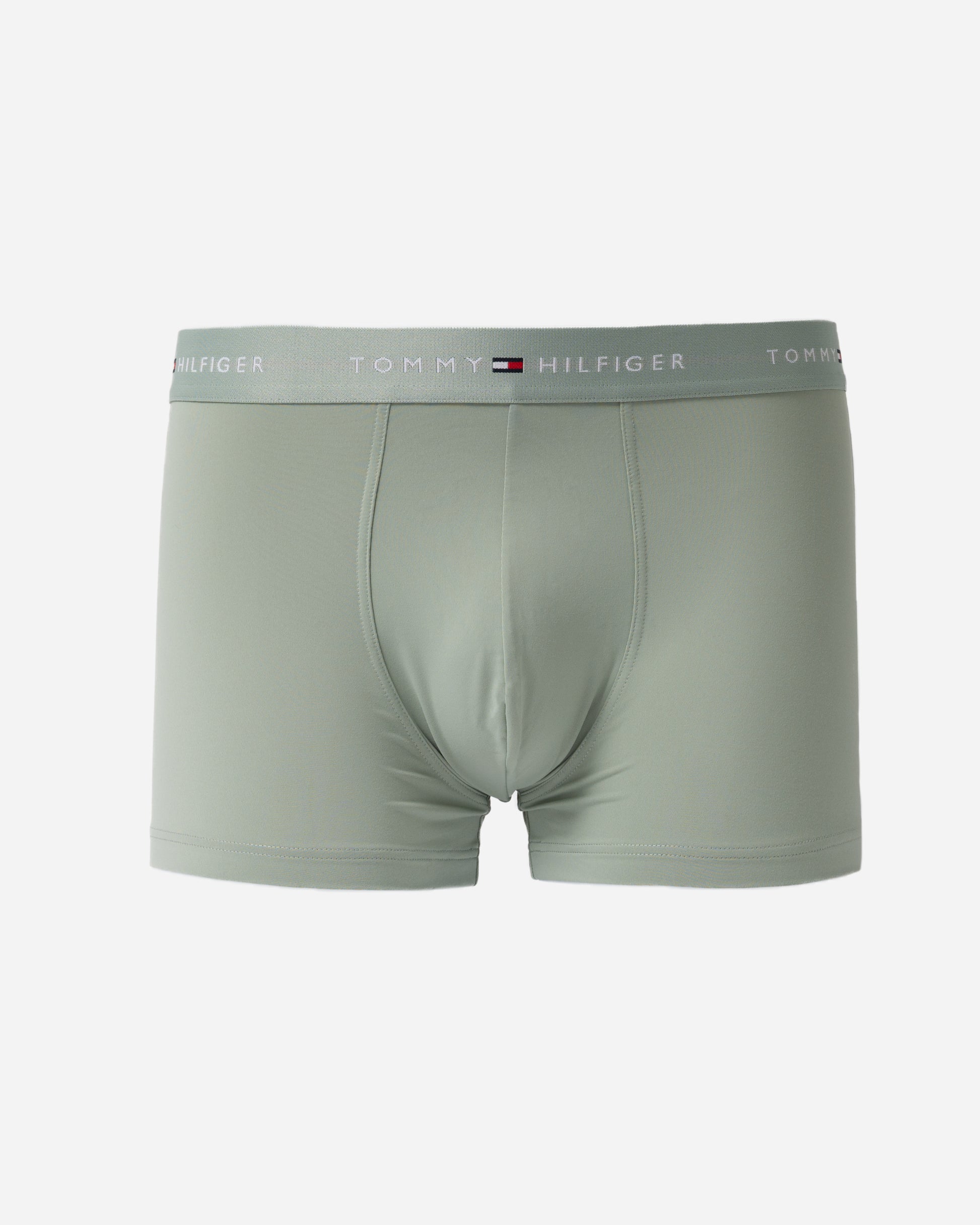Tommy Hilfiger DTM Waistband Mens Trunks in Mint  green