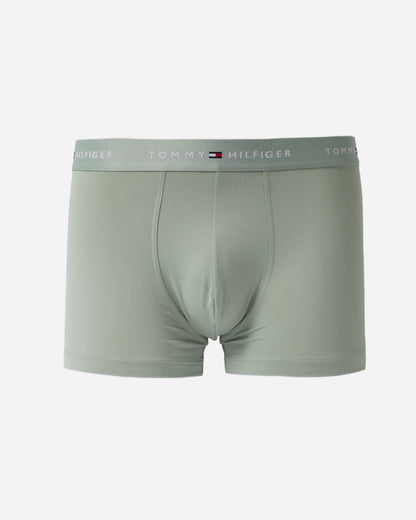 Tommy Hilfiger DTM Waistband Mens Trunks in Mint  green