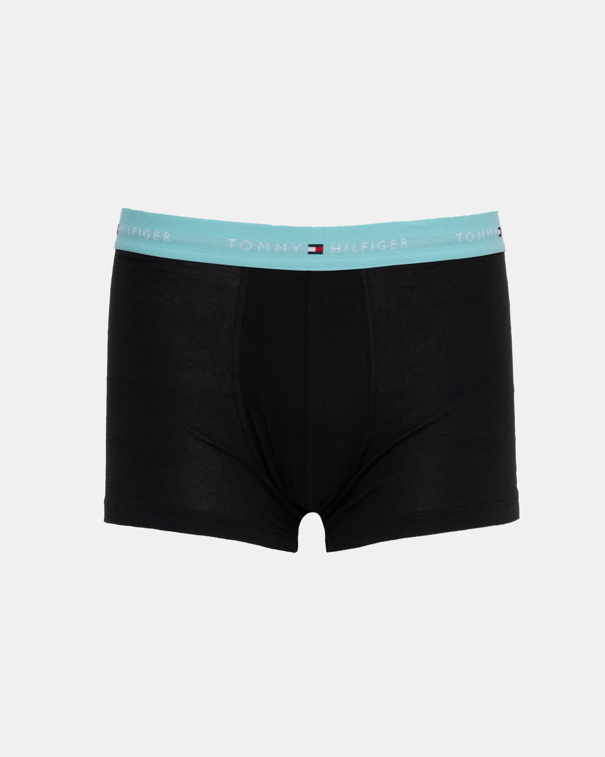 Tommy Hilfiger 7-Pack Logo Waistband Mens Trunks in Rainbow Mix pale blue