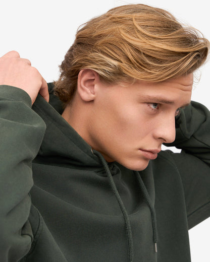 Colorful Standard Classic Organic Hoodie - Midnight Forest